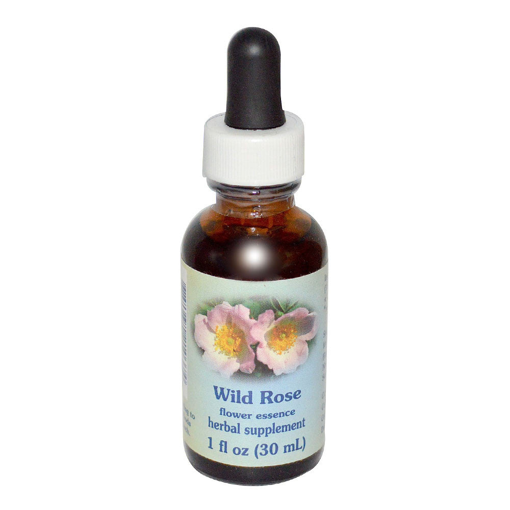 Flower Essence Wild Rose Herbal Supplement Dropper, 1 Oz